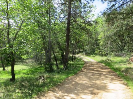 Higdon Spink Rd, West Point, CA 95255 Photo