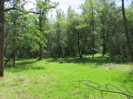 Higdon Spink Rd, West Point, CA 95255 Photo