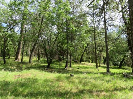 Higdon Spink Rd, West Point, CA 95255 Photo