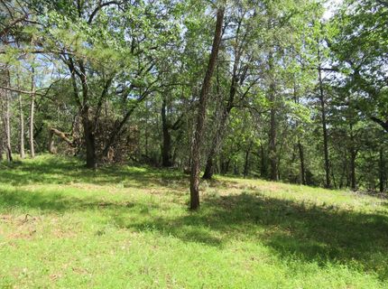 Higdon Spink Rd, West Point, CA 95255 Photo