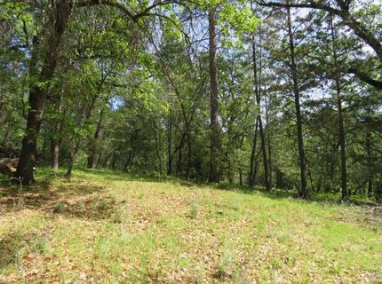 Higdon Spink Rd, West Point, CA 95255 Photo