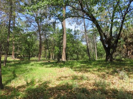 Higdon Spink Rd, West Point, CA 95255 Photo