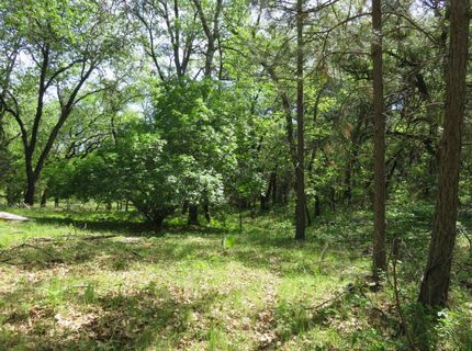 Higdon Spink Rd, West Point, CA 95255 Photo