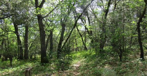 Higdon Spink Rd, West Point, CA 95255 Photo