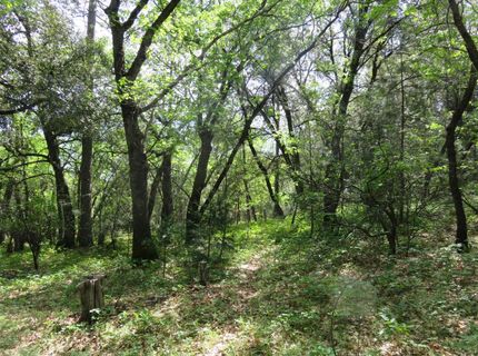 Higdon Spink Rd, West Point, CA 95255 Photo