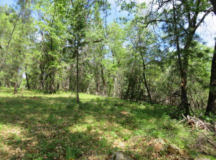 Higdon Spink Rd, West Point, CA 95255 Photo