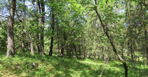 Higdon Spink Rd, West Point, CA 95255 Photo
