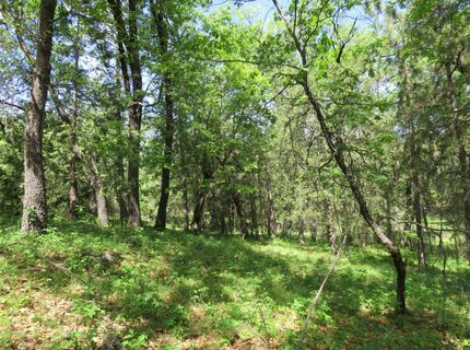 Higdon Spink Rd, West Point, CA 95255 Photo