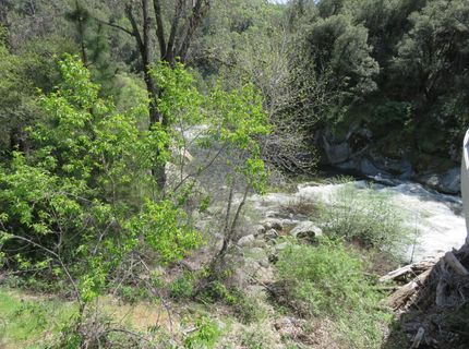 Higdon Spink Rd, West Point, CA 95255 Photo
