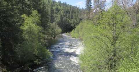 Higdon Spink Rd, West Point, CA 95255 Photo