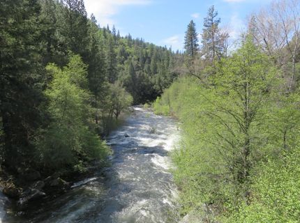 Higdon Spink Rd, West Point, CA 95255 Photo