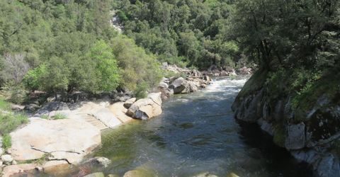 Higdon Spink Rd, West Point, CA 95255 Photo