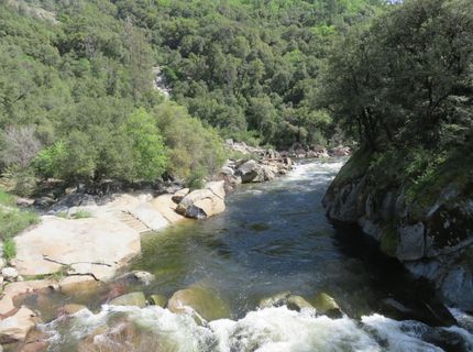 Higdon Spink Rd, West Point, CA 95255 Photo