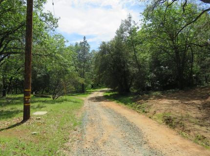 Higdon Spink Rd, West Point, CA 95255 Photo