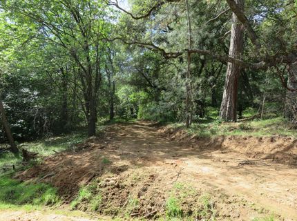 Higdon Spink Rd, West Point, CA 95255 Photo