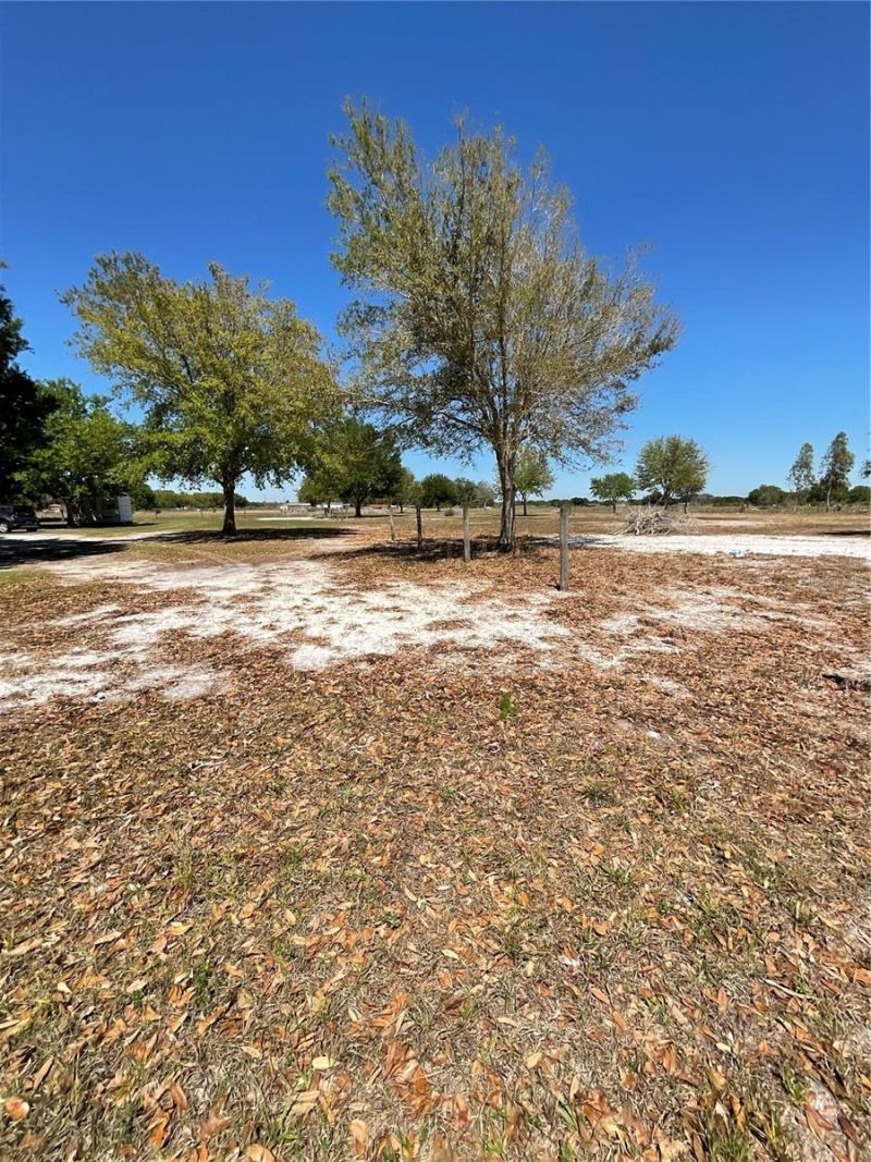 2735 Buck Drive , Zolfo Springs, FL 33890 Photo