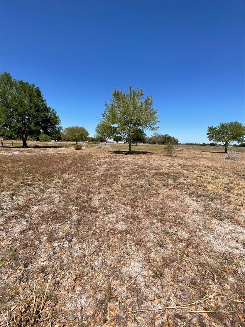 2735 Buck Drive , Zolfo Springs, FL 33890 Photo