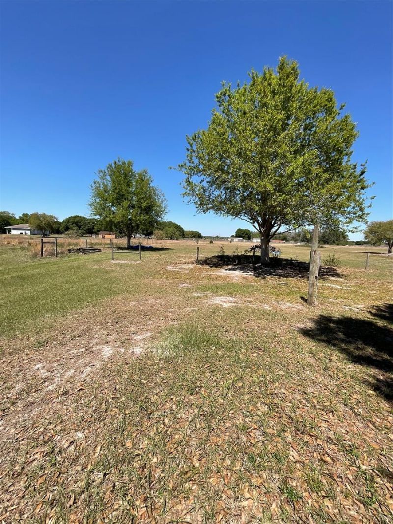 2735 Buck Drive , Zolfo Springs, FL 33890 Photo