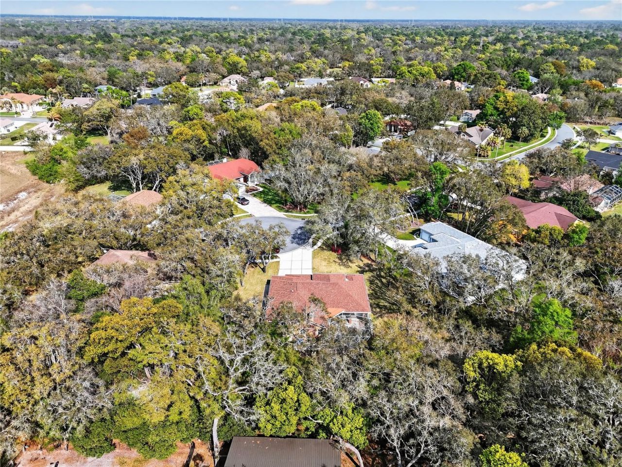 14024 Warm Springs Court, Hudson, FL 34667 Photo