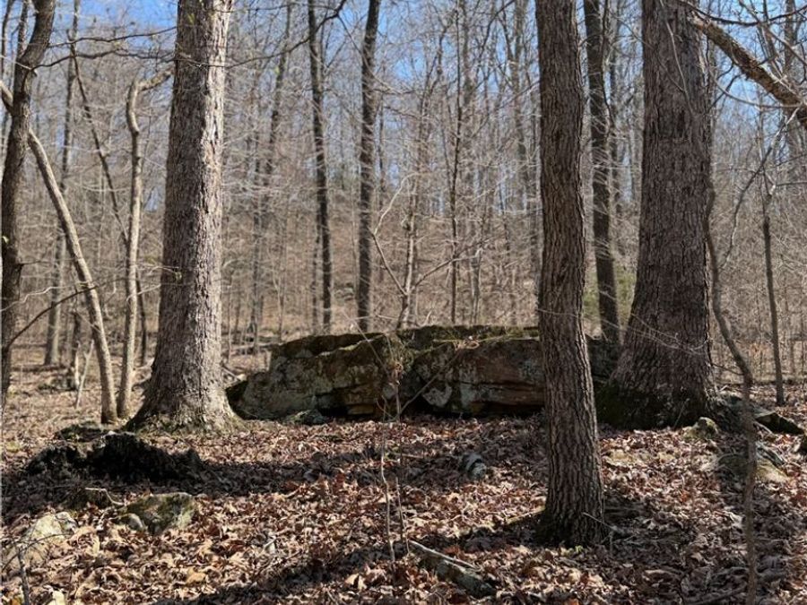 Property Image 17
