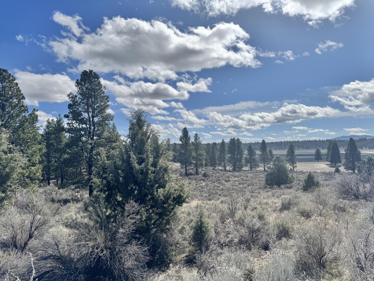 0 Moccasin Lane, Lot #1, Chiloquin, OR 97624 Main Photo