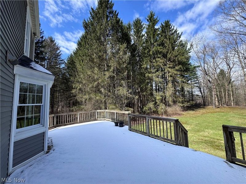 13566 Stoney Springs Drive , Chardon, OH 44024 Photo 44