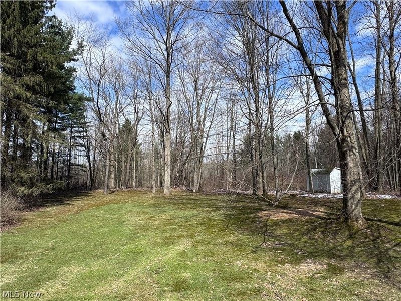 13566 Stoney Springs Drive , Chardon, OH 44024 Photo 47