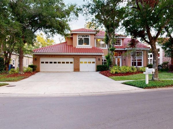 17833 GREEN WILLOW DRIVE , TAMPA, FL 33647