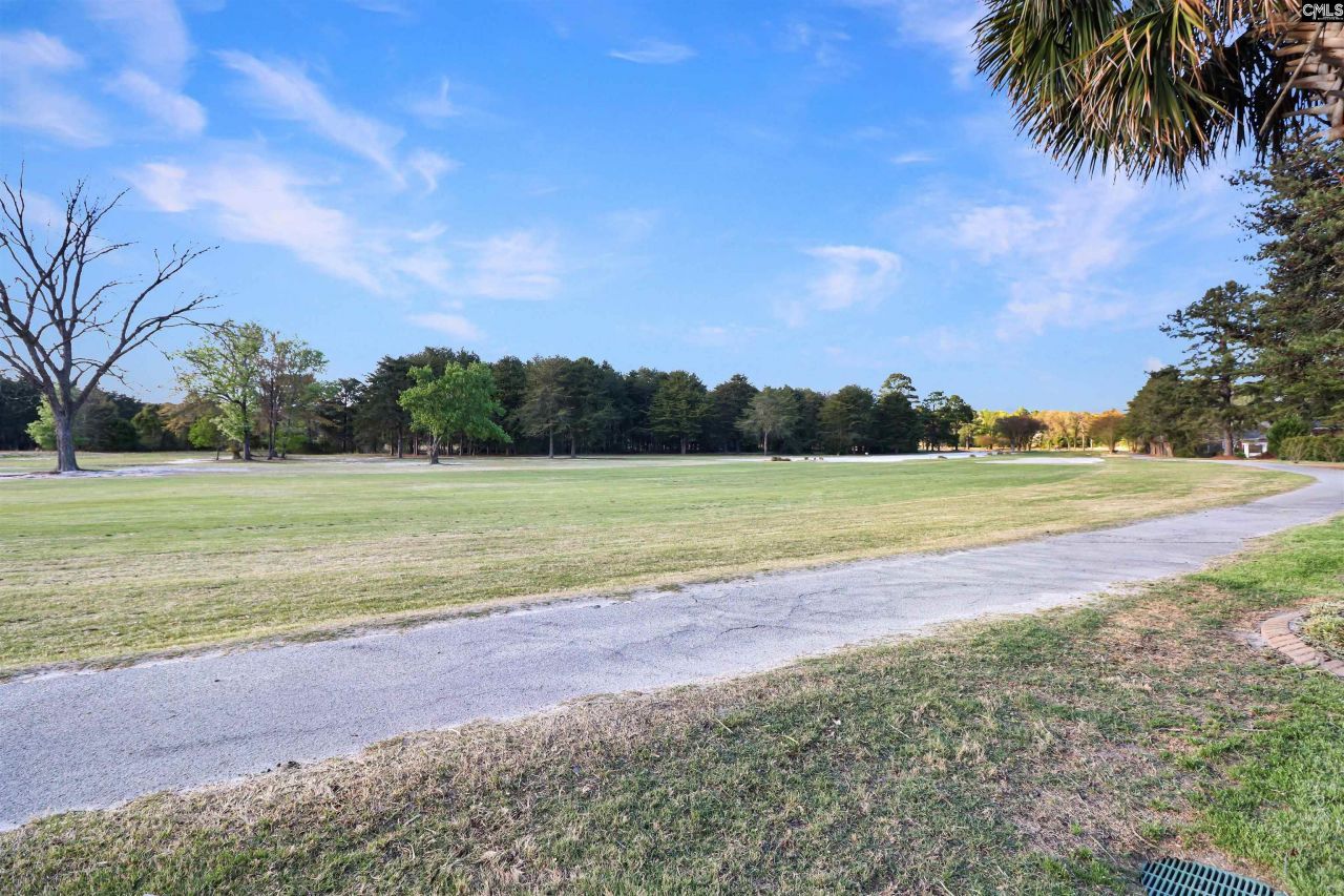 217 Clubhouse Drive  Photo 17