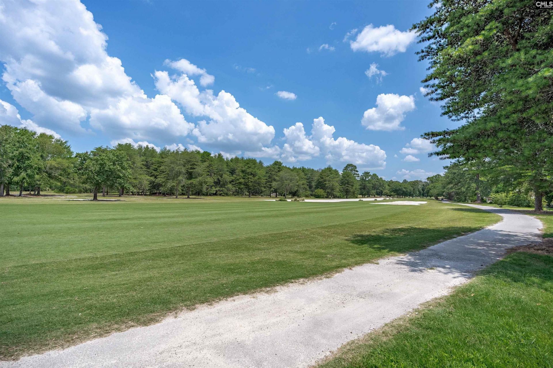 217 Clubhouse Drive Photo 38