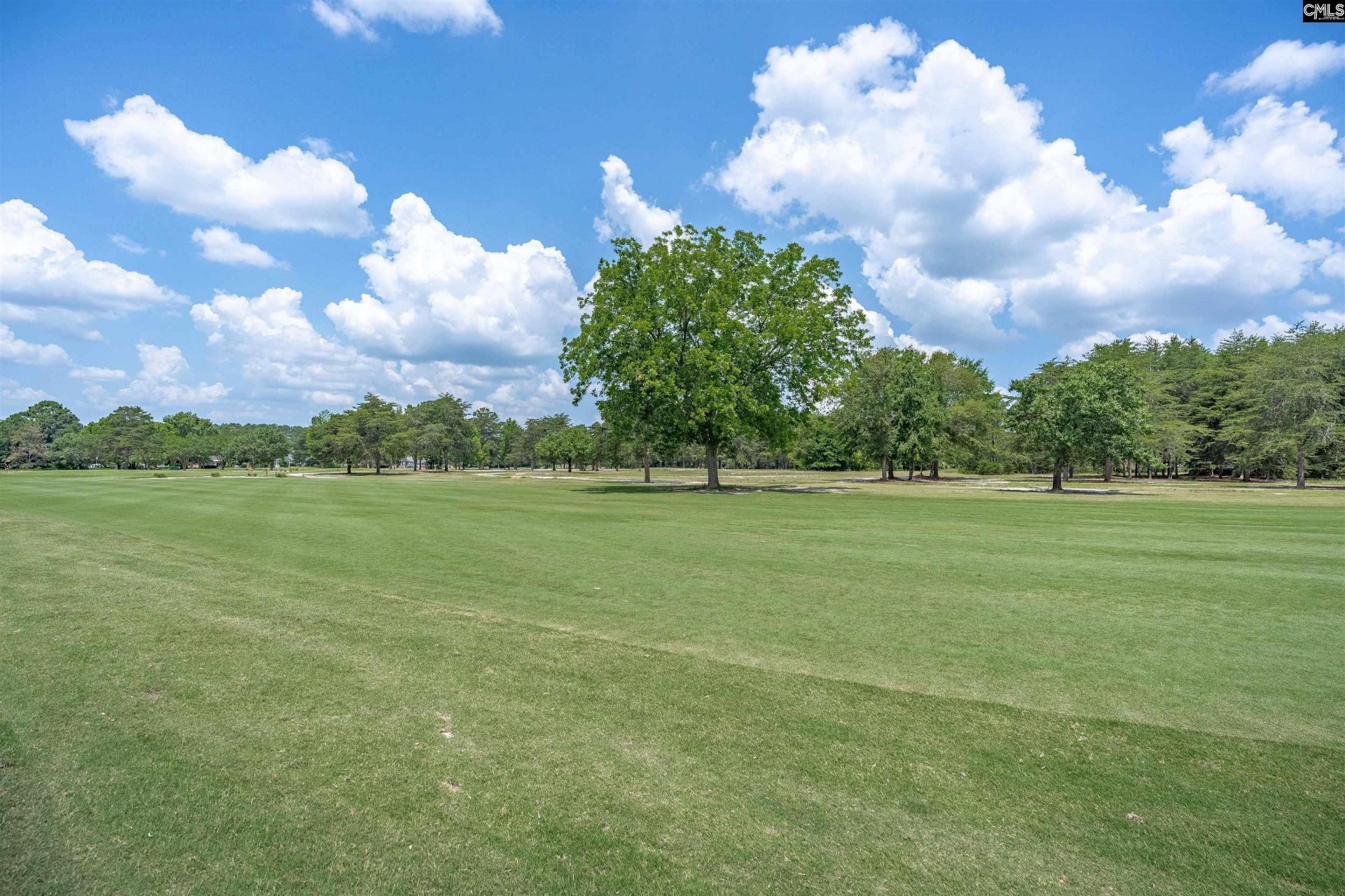 217 Clubhouse Drive Photo 39