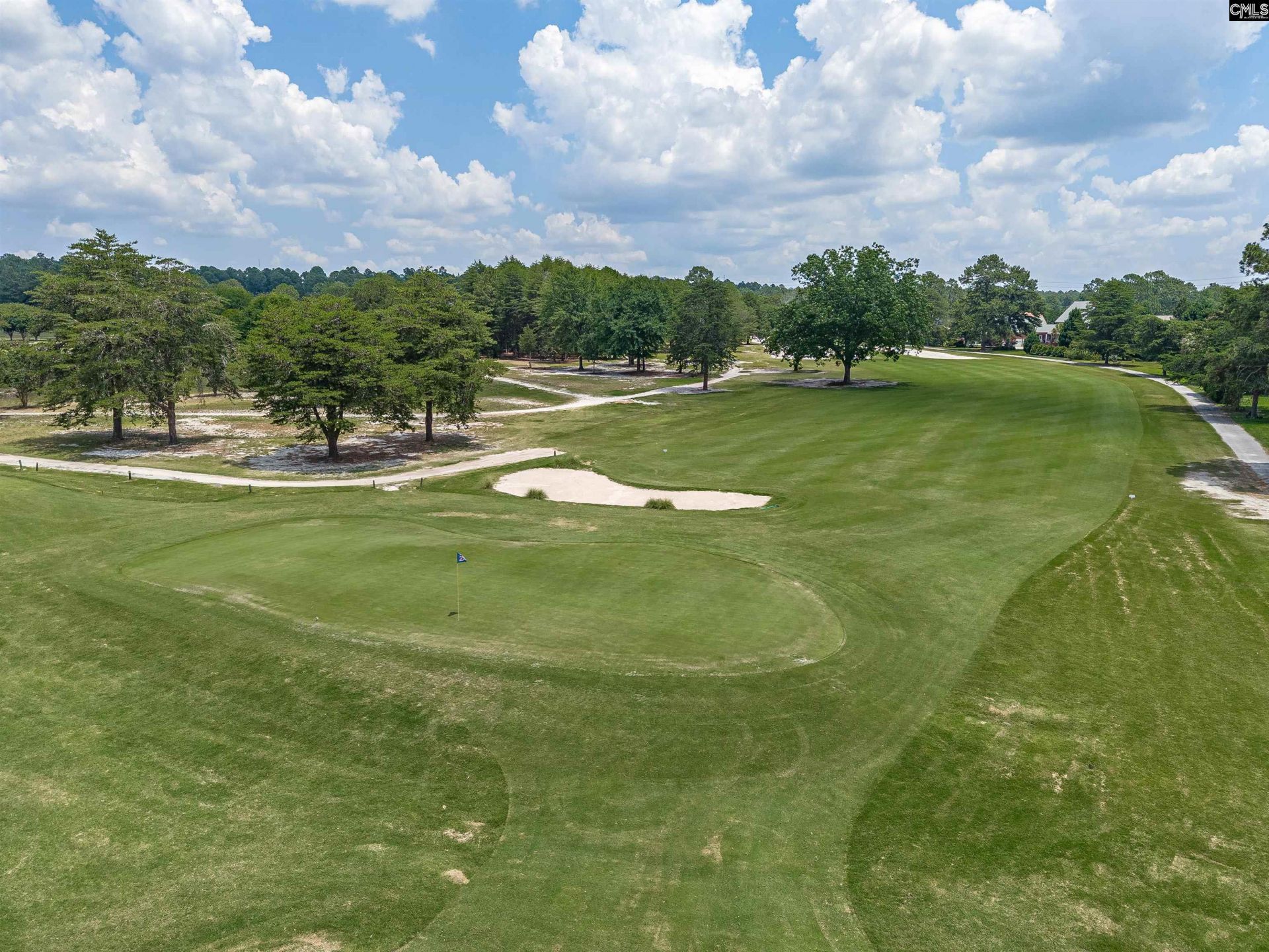 217 Clubhouse Drive Photo 52