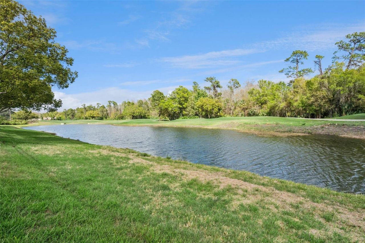 2541 Teton Stone Run , Orlando, FL 32828 Photo