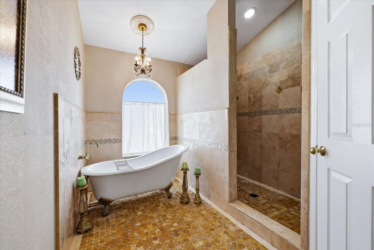 1384 Forestedge Boulevard, Oldsmar, FL 34677 Photo