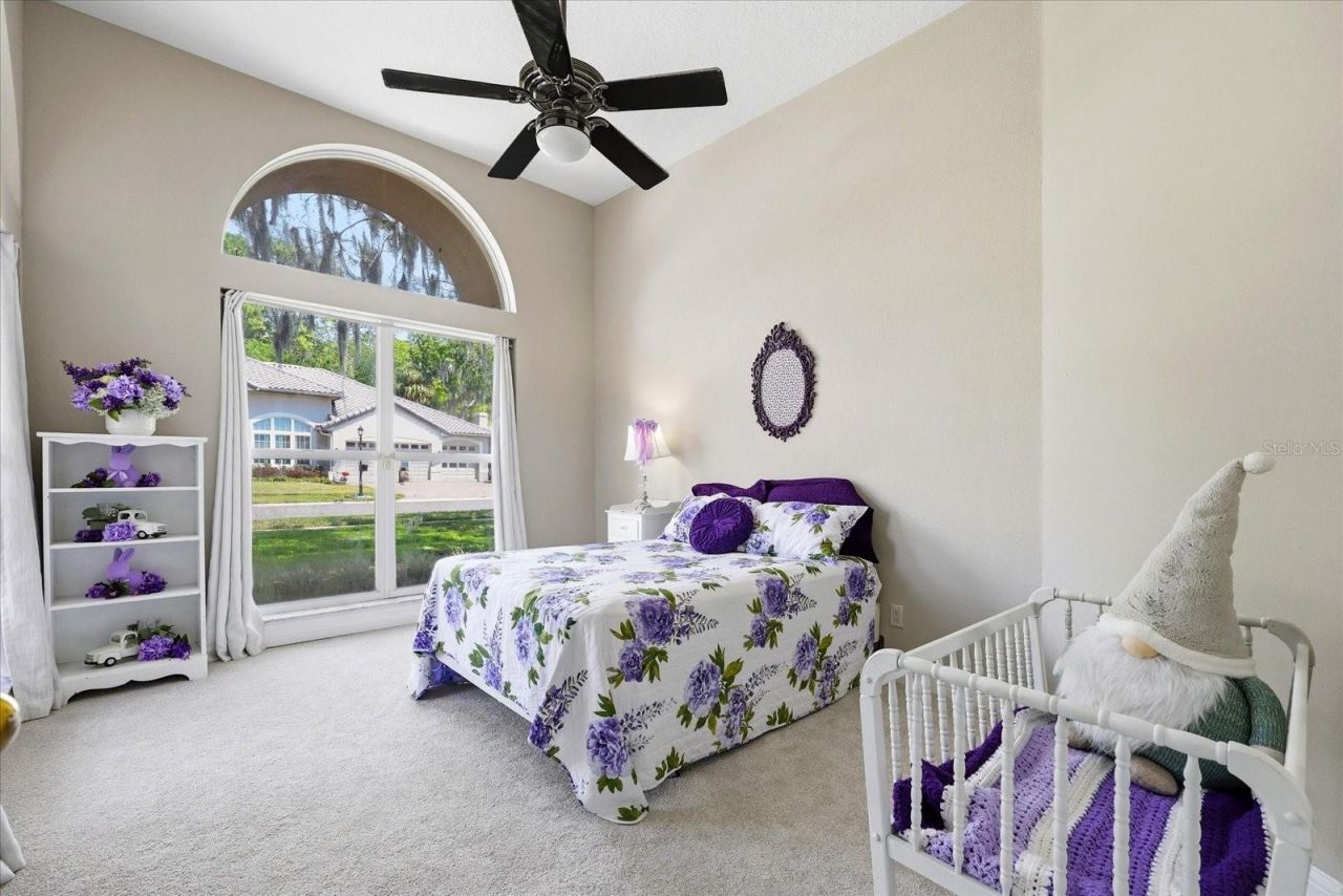 1384 Forestedge Boulevard, Oldsmar, FL 34677 Photo