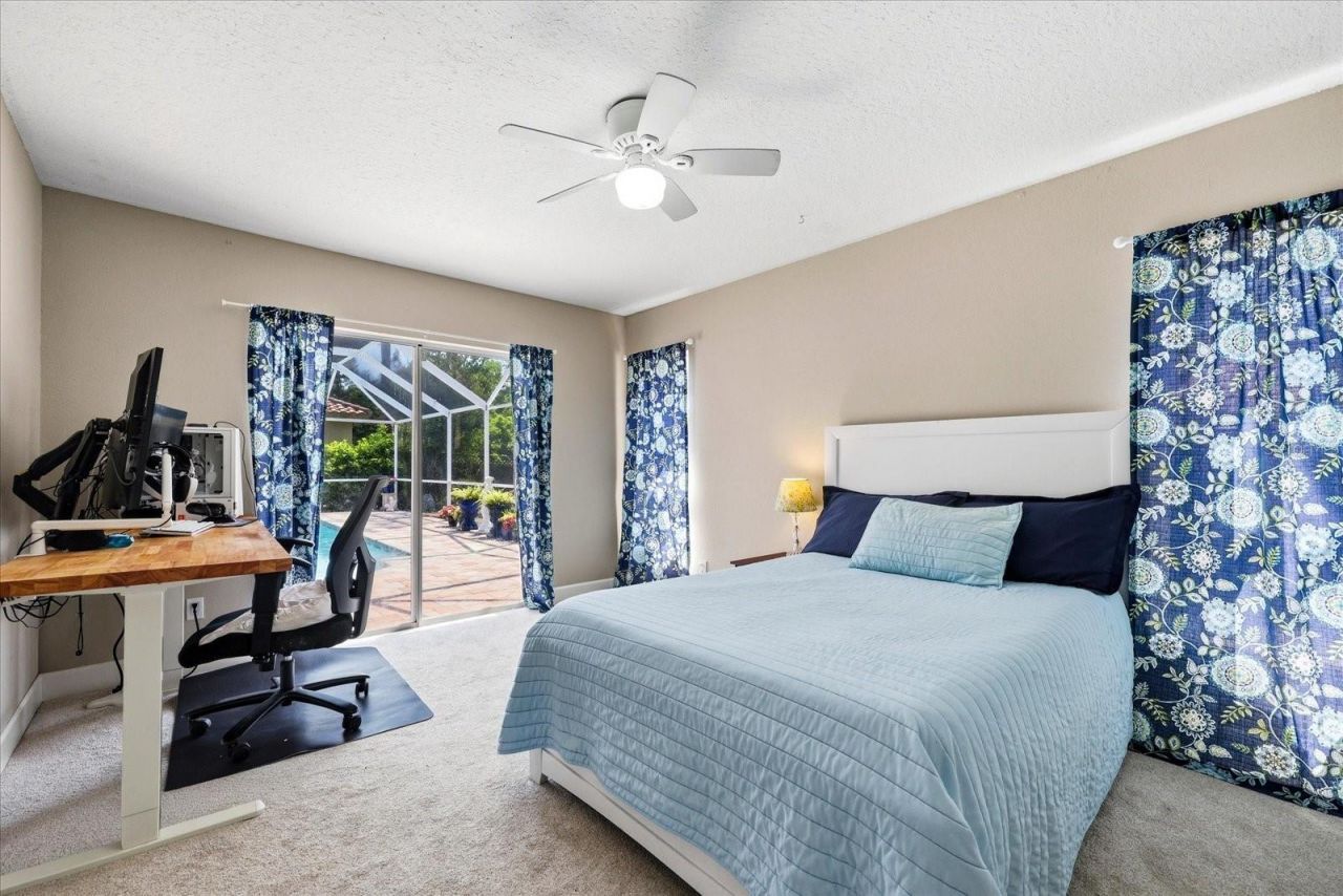 1384 Forestedge Boulevard, Oldsmar, FL 34677 Photo