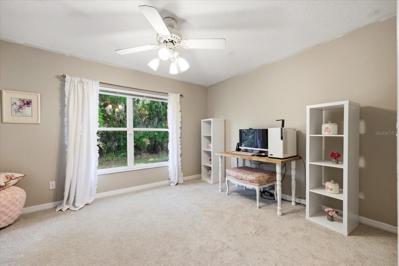 1384 Forestedge Boulevard, Oldsmar, FL 34677 Photo