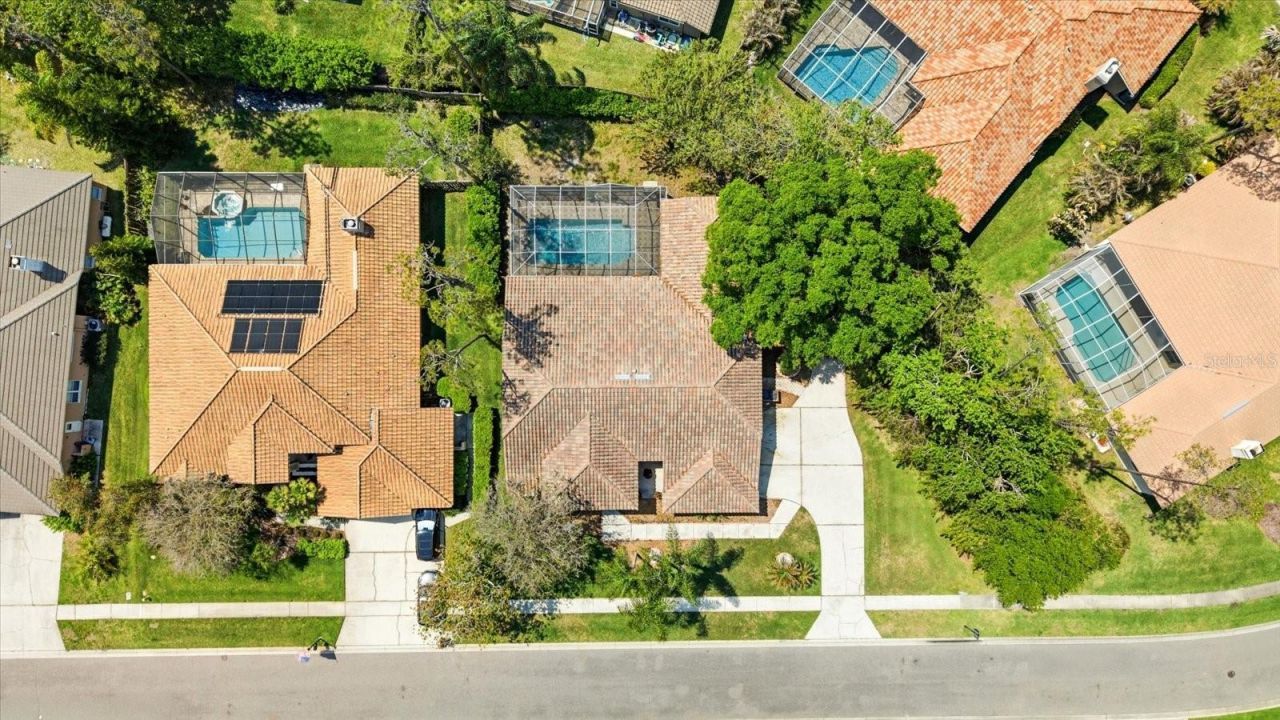 1384 Forestedge Boulevard, Oldsmar, FL 34677 Photo