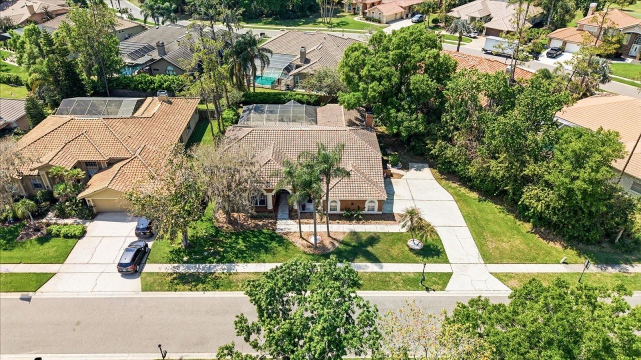 1384 Forestedge Boulevard, Oldsmar, FL 34677 Photo