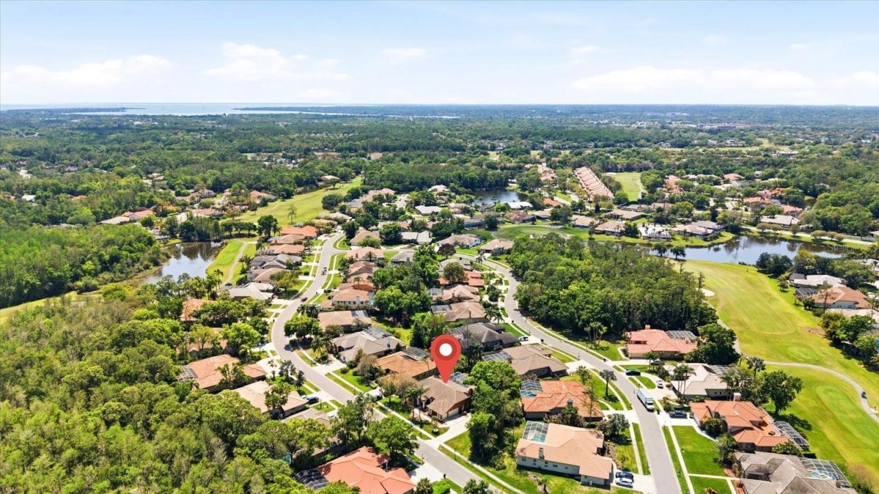 1384 Forestedge Boulevard, Oldsmar, FL 34677 Photo