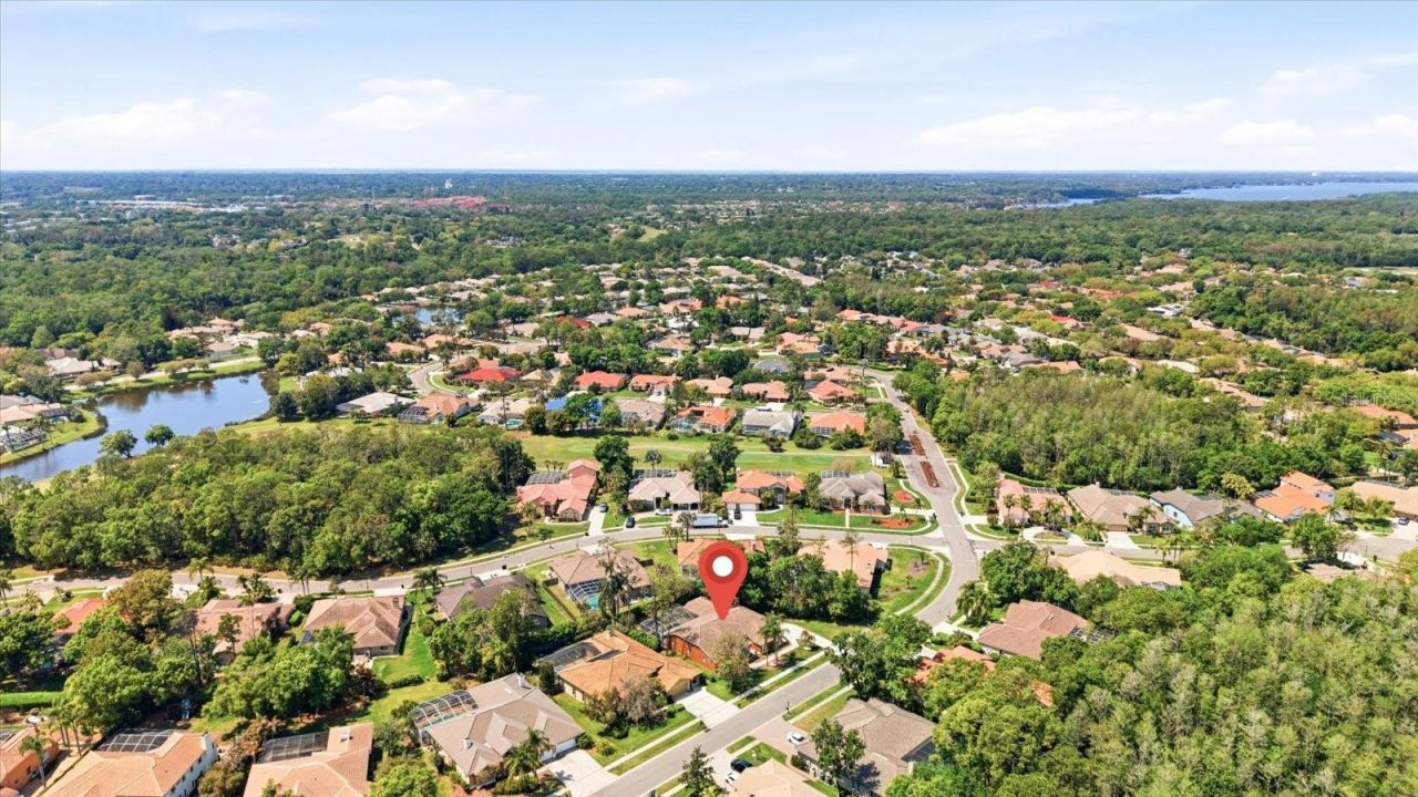 1384 Forestedge Boulevard, Oldsmar, FL 34677 Photo