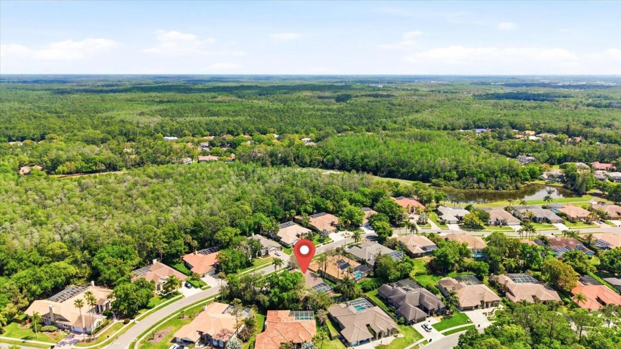 1384 Forestedge Boulevard, Oldsmar, FL 34677 Photo