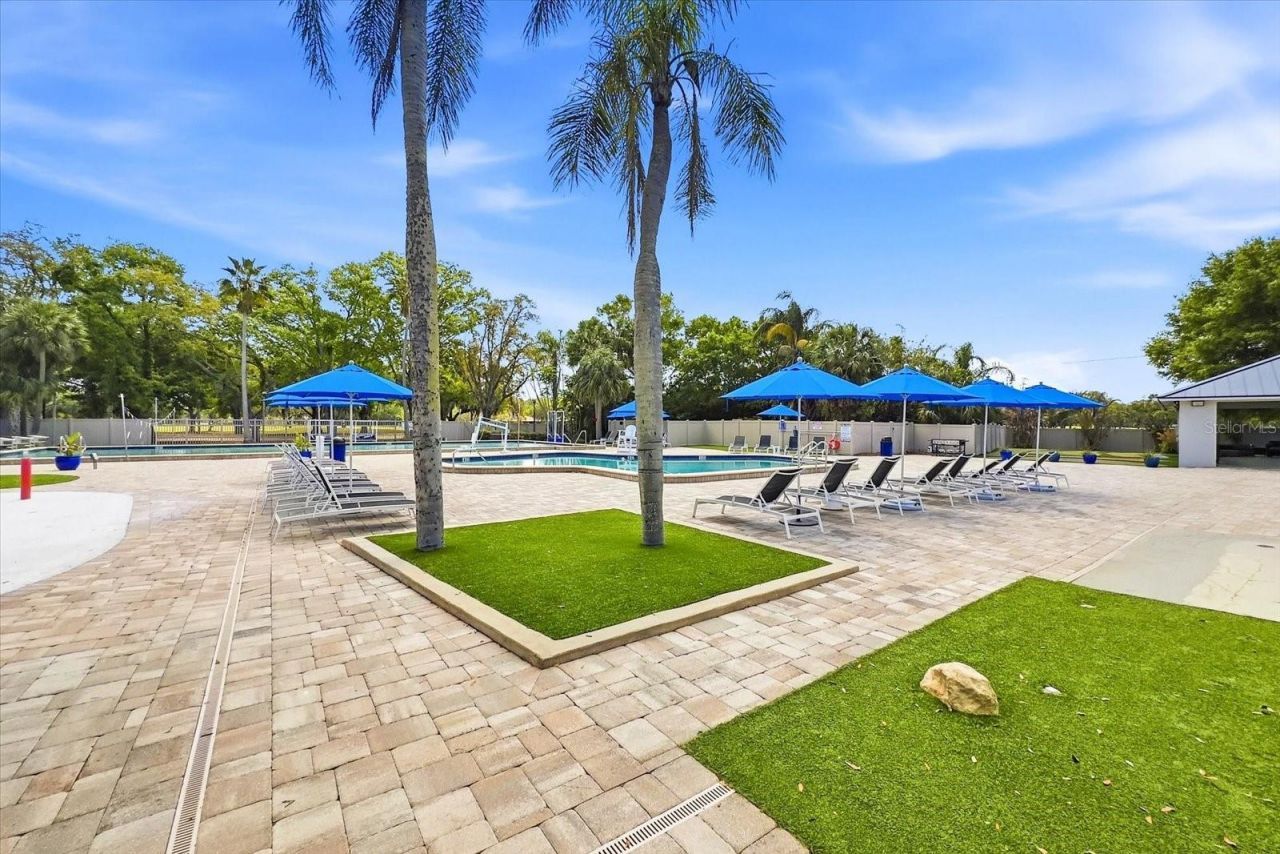 1384 Forestedge Boulevard, Oldsmar, FL 34677 Photo