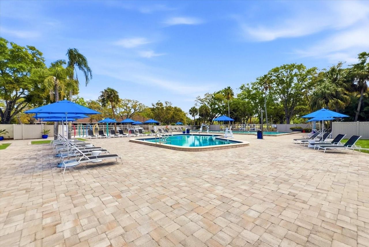 1384 Forestedge Boulevard, Oldsmar, FL 34677 Photo