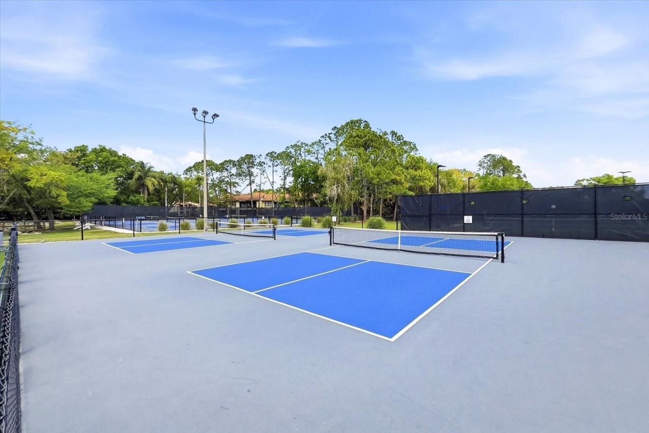 1384 Forestedge Boulevard, Oldsmar, FL 34677 Photo