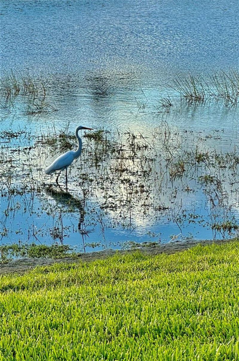 24439 Riverfront Drive , Punta Gorda, FL 33980 Photo