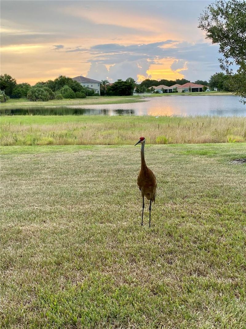 24439 Riverfront Drive , Punta Gorda, FL 33980 Photo