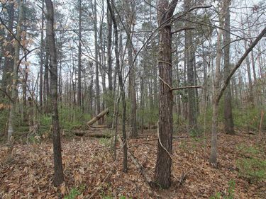 TBD SULPHUR MINE RD, Charlottesville, VA 22911