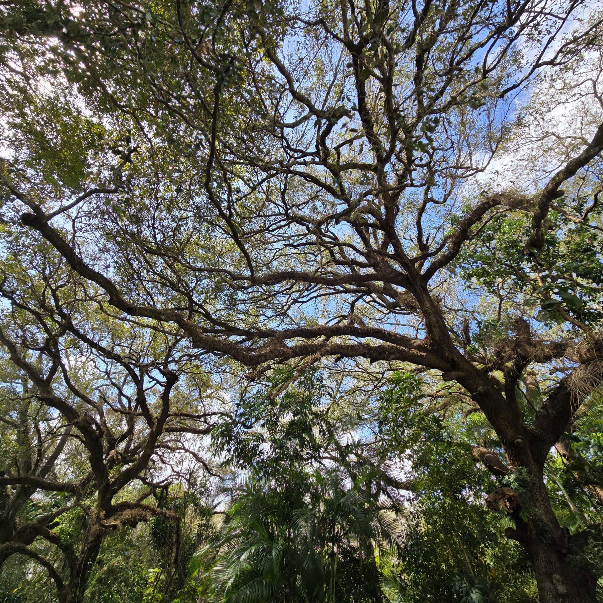 9440 Live Oak Place, Davie, FL 33324 Photo