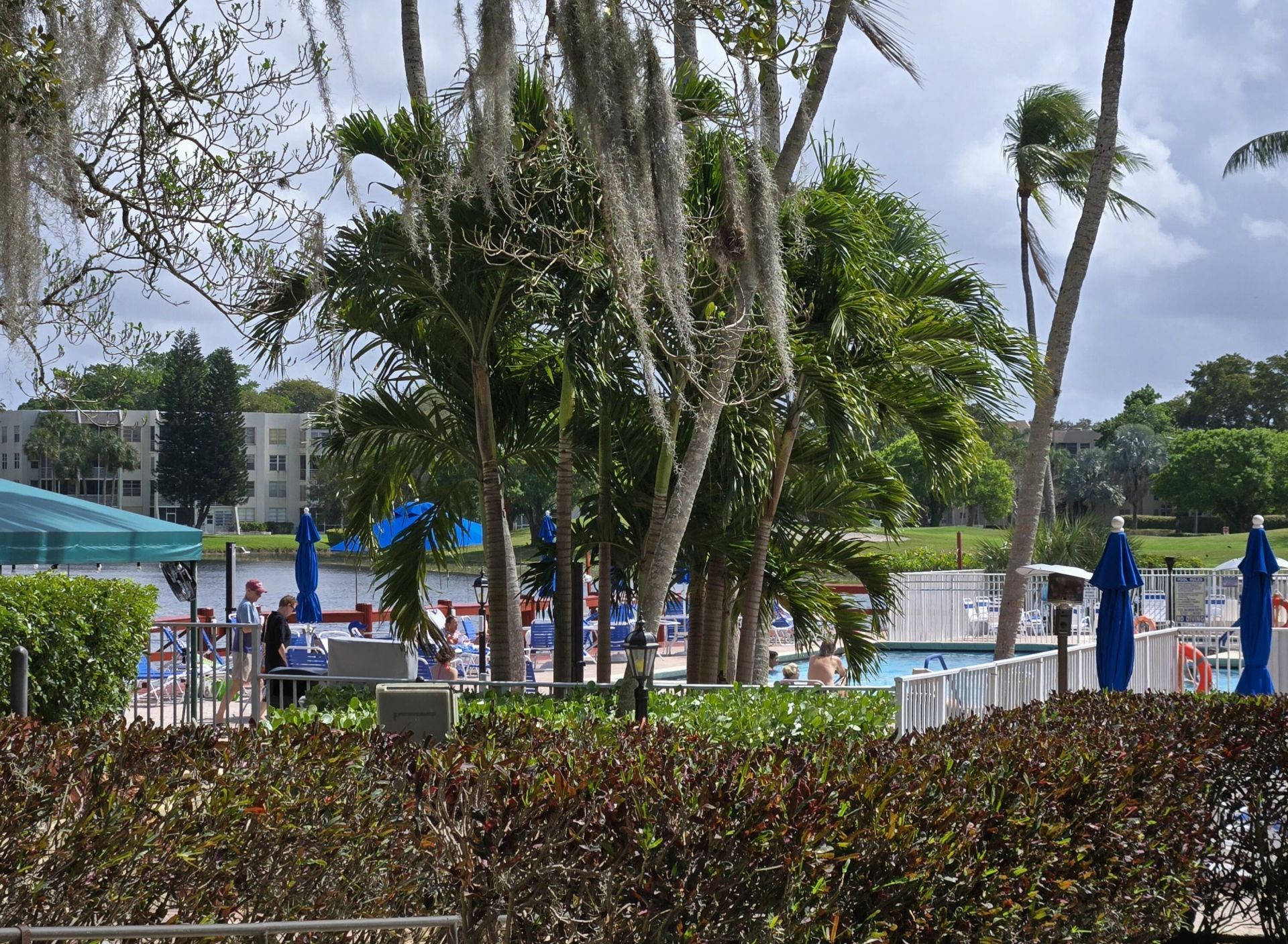 9440 Live Oak Place, Unit 402, Davie, FL 33324 Photo